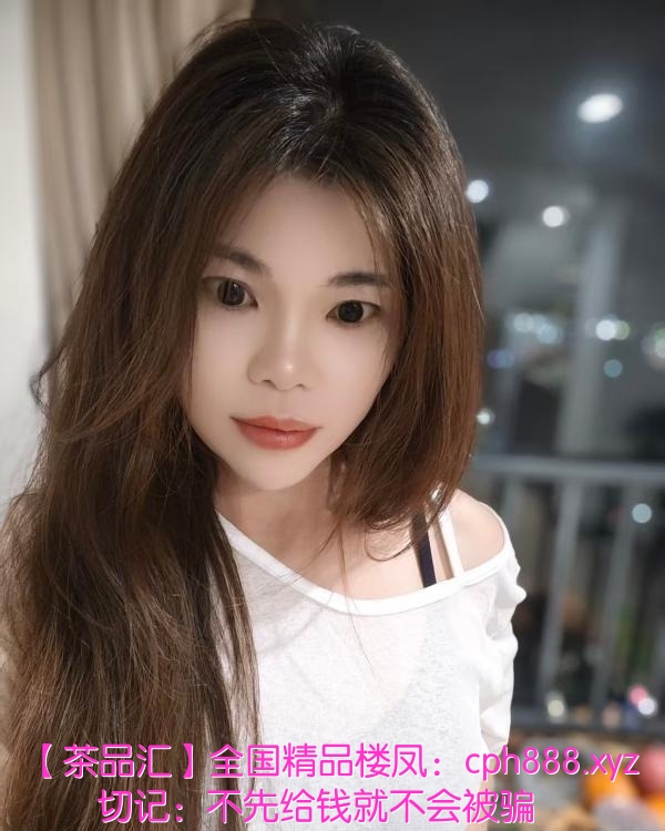顺德小野猫